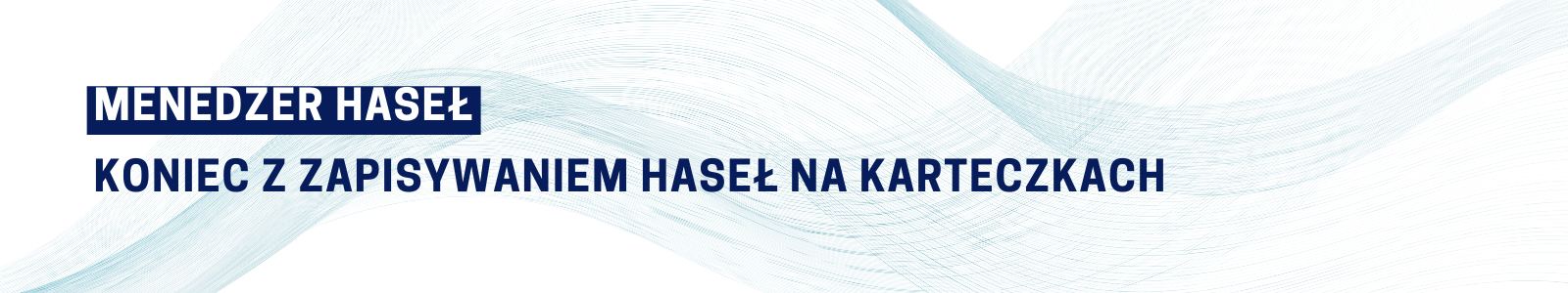 Menedżer haseł – co to jest i do czego służy